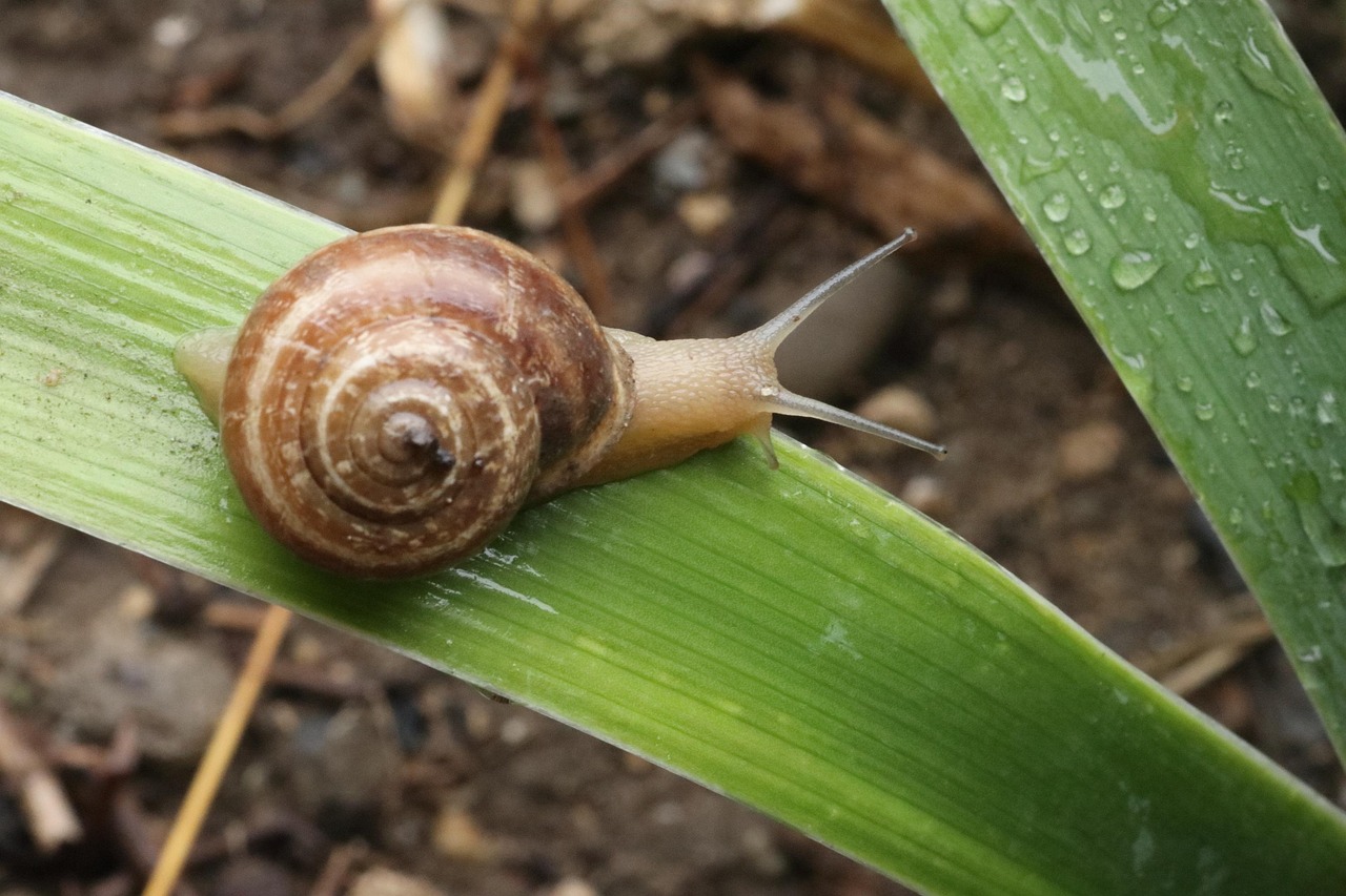섬뜩하다 뜻