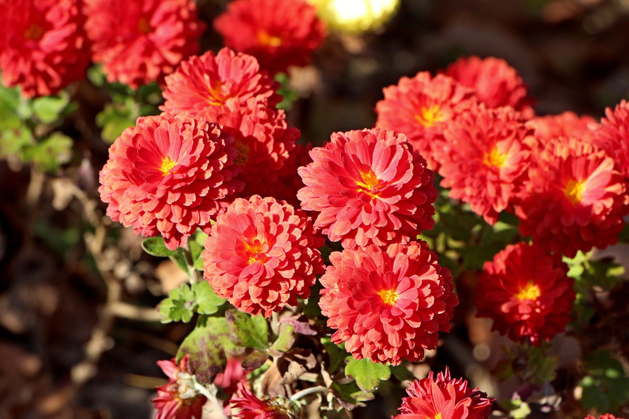 내 뜻대로 마옵시고 아버지의 뜻대로 하옵소서
